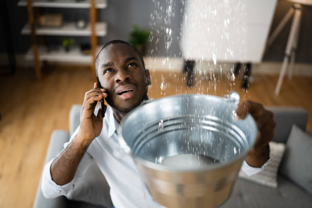 Best Water damage repair service  in Greenville, IN