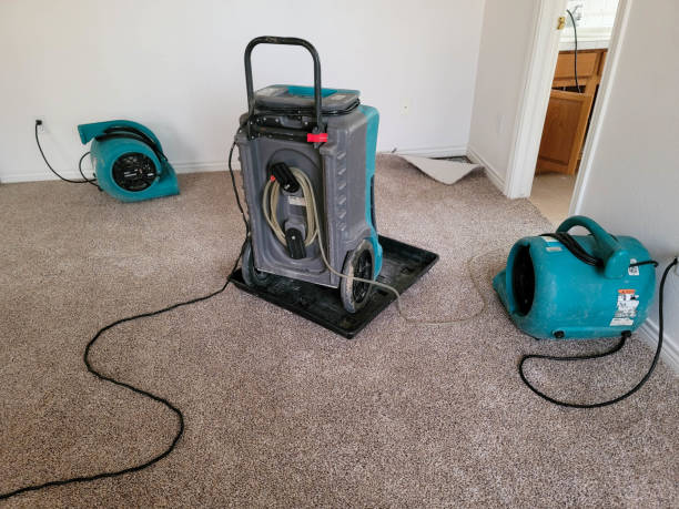 Best Water damage restoration near me  in Greenville, IN