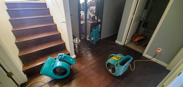 Best Water damage restoration near me  in Greenville, IN