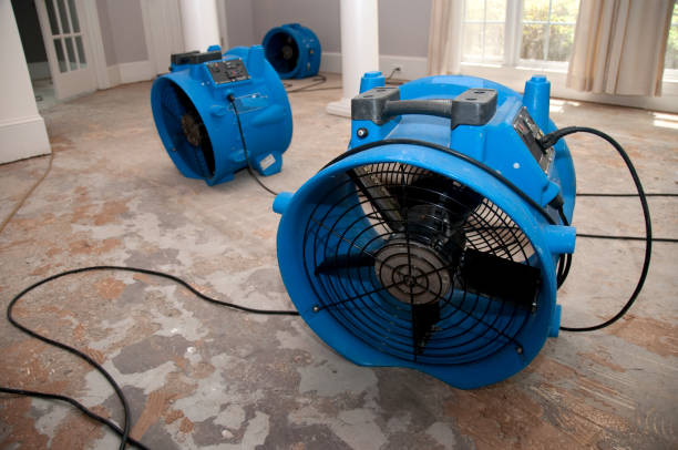 Best Carpet water damage restoration  in Greenville, IN