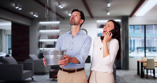 Best Local water damage restoration  in Greenville, IN