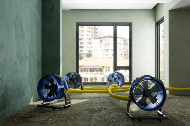 Best Residential water damage restoration  in Greenville, IN