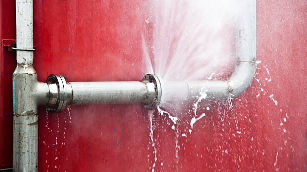 Best Ceiling water damage repair  in Greenville, IN