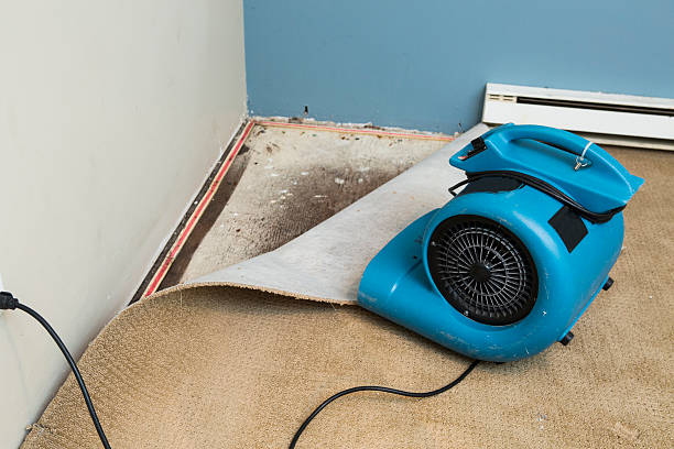 Best Water damage restoration near me  in Greenville, IN